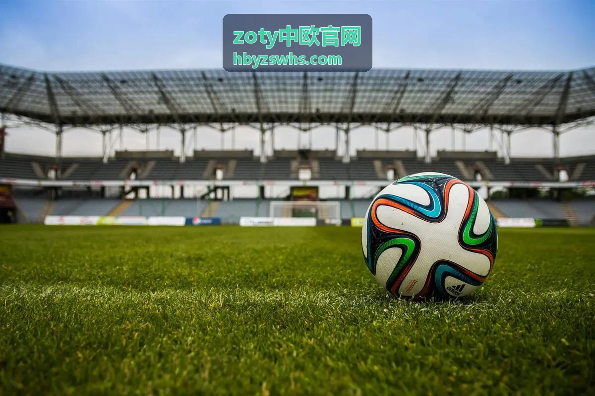 zoty中欧官网中欧海外仓欧洲本地派送覆盖示意
